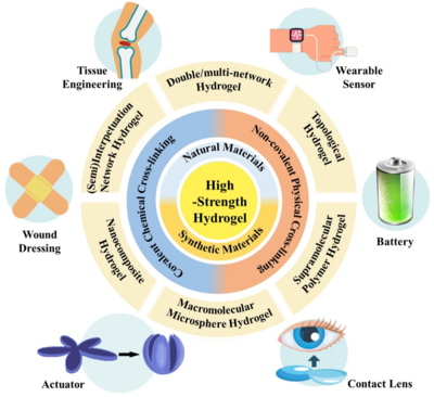 西工大黃河源、王文智/西安交大趙鑫 Nano Res.:高強度水凝膠的制備策略、增強機制與未來挑戰(zhàn)