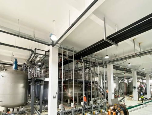 科學(xué)家發(fā)現(xiàn)衰老逆轉(zhuǎn)關(guān)鍵分子，富人圈爭相追捧，市場規(guī)模或達300億